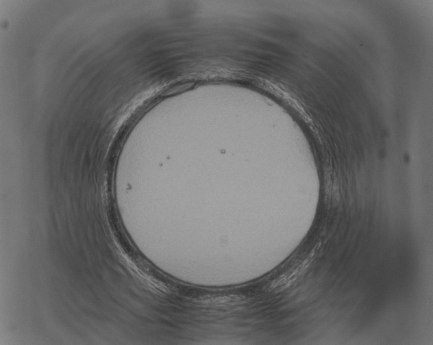 X0000067890629200605111852