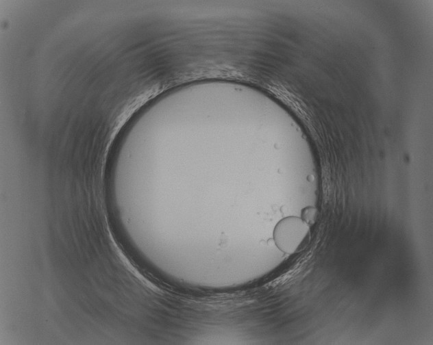 X0000067890630200605111852