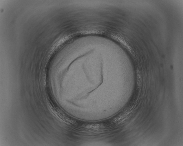 X0000067890631200605111852