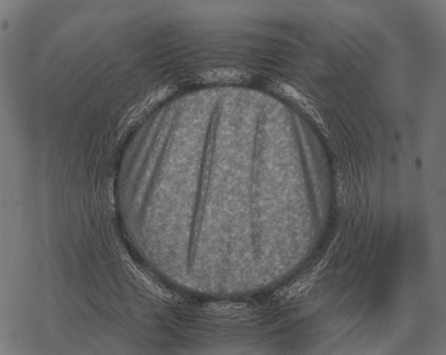 X0000067890633200605111852