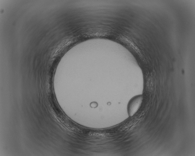 X0000067890635200605111852