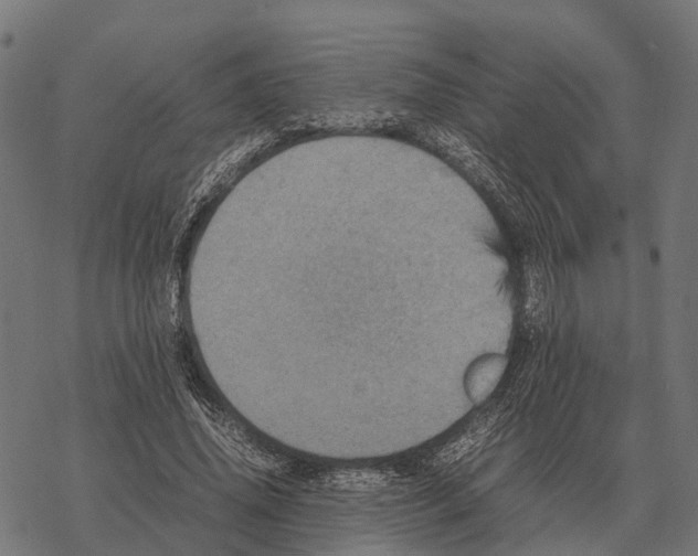 X0000067890636200605111852