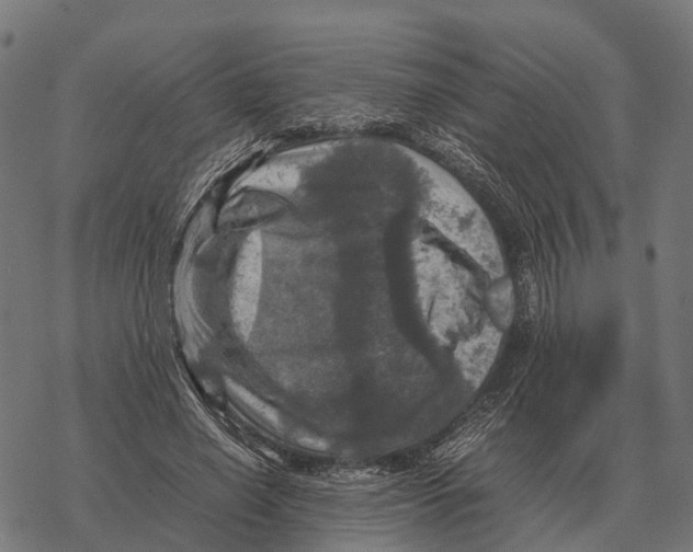 X0000067890638200605111852