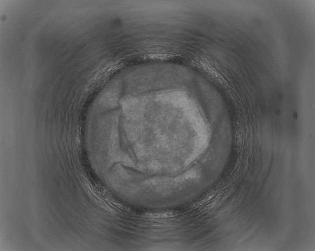 X0000067890639200605111852