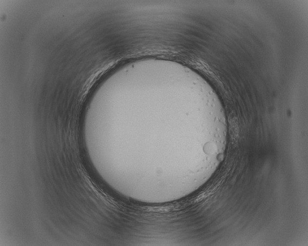 X0000067890640200605111852