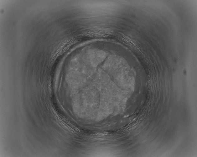 X0000067890642200605111852