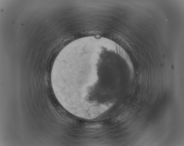 X0000067890643200605111852