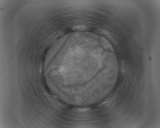 X0000067890645200605111852