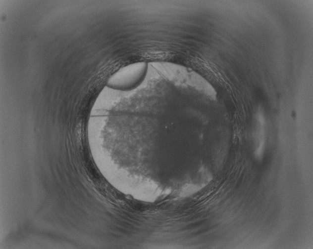 X0000067890647200605111852