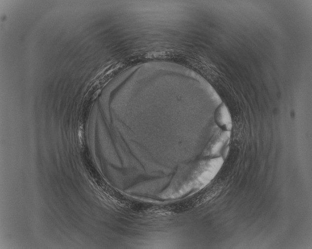 X0000067890648200605111852