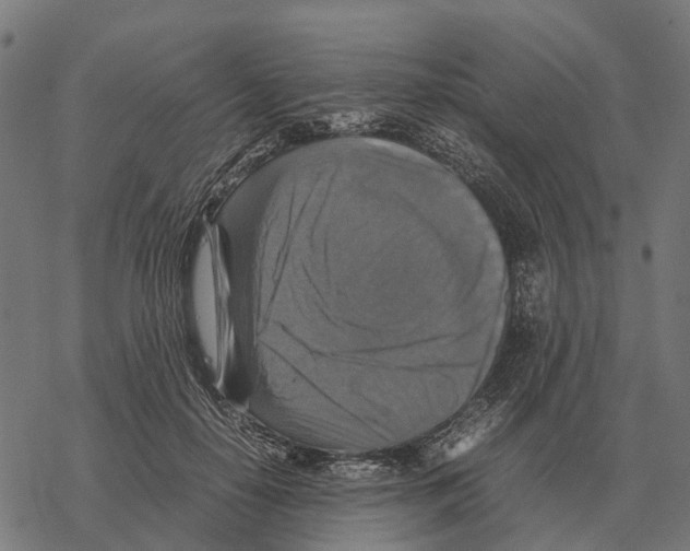 X0000067890650200605111852