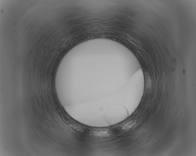 X0000067890651200605111852