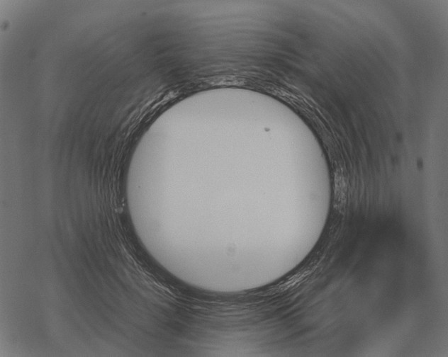 X0000067890652200605111852