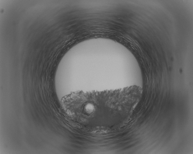 X0000067890653200605111852