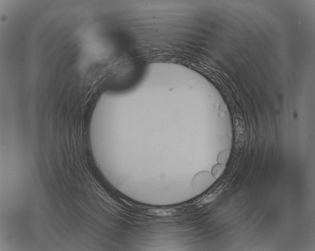 X0000067890654200605111852