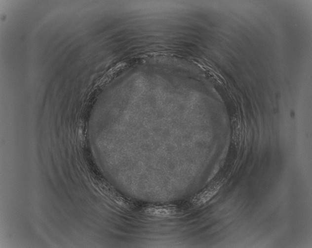 X0000067890655200605111852