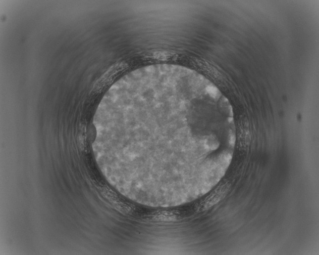 X0000067890656200605111852