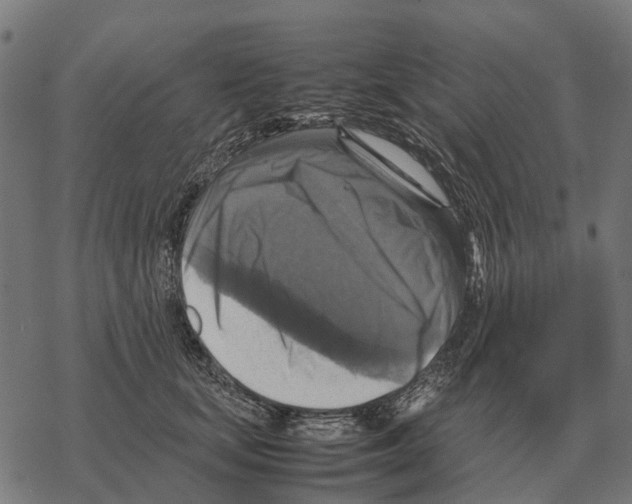 X0000067890659200605111852