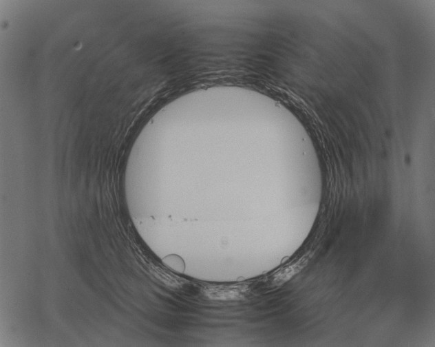 X0000067890661200605111852