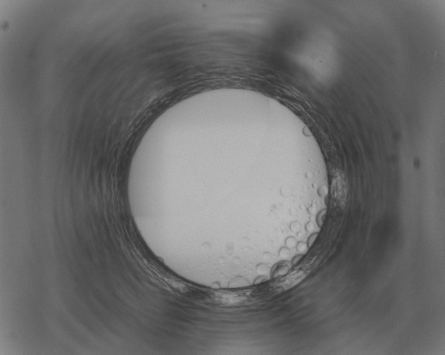 X0000067890662200605111852