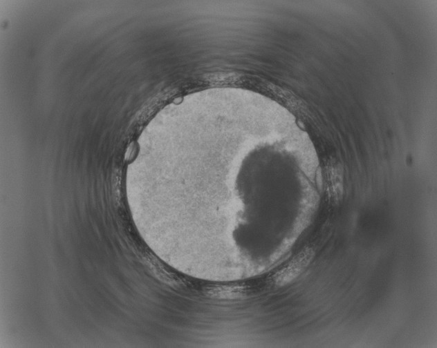 X0000067890664200605111852