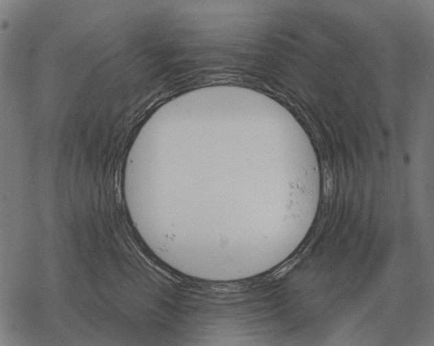 X0000067890666200605111852