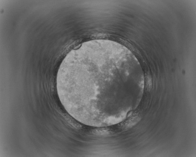 X0000067890668200605111852