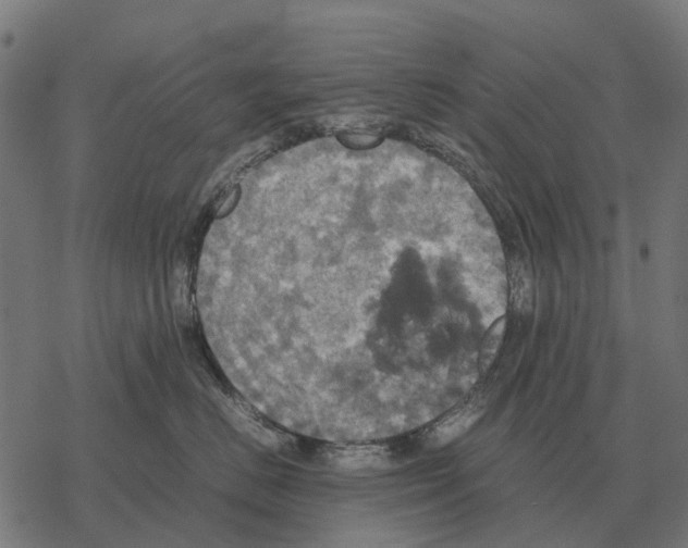 X0000067890670200605111852