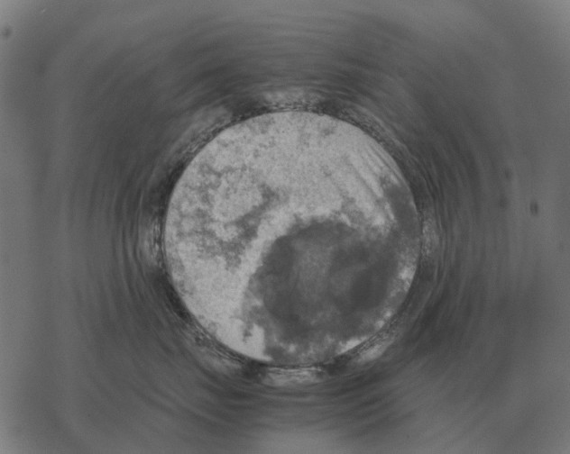 X0000067890671200605111852