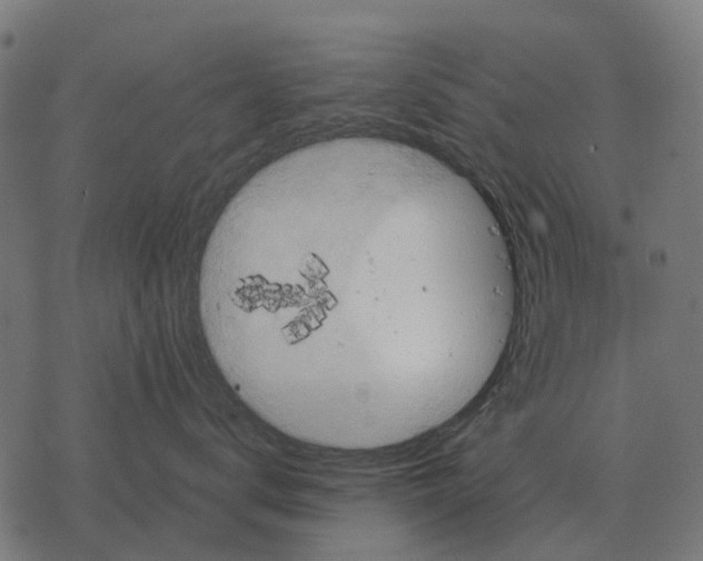 X0000067890672200605111852