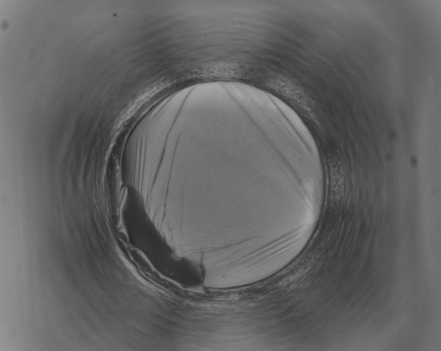 X0000067890674200605111851