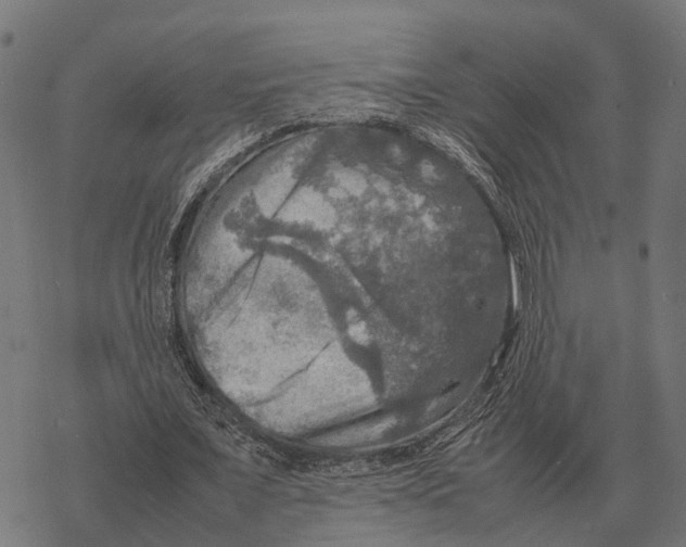 X0000067890675200605111851