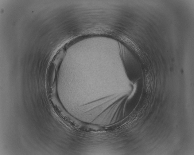 X0000067890680200605111851