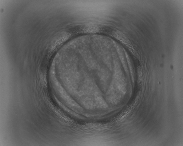 X0000067890681200605111851