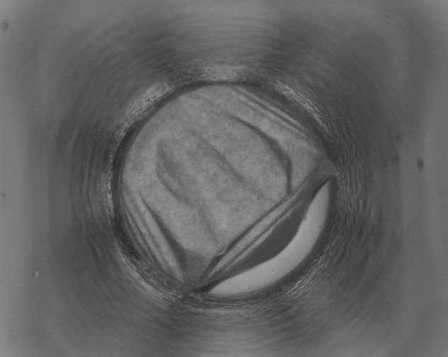 X0000067890682200605111851