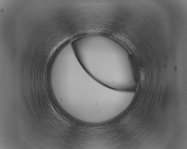 X0000067890684200605111851