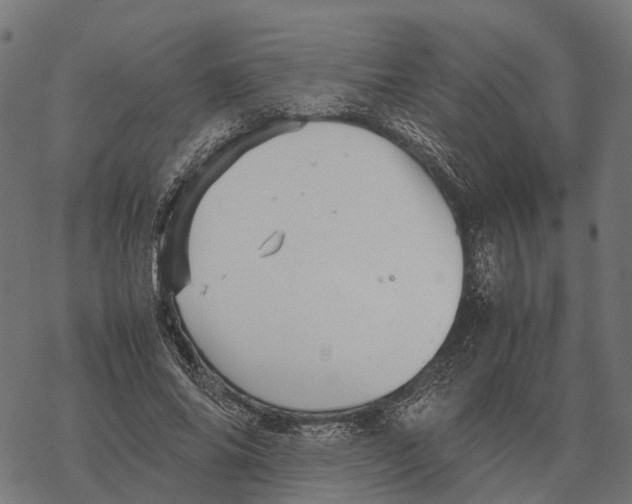 X0000067890686200605111851