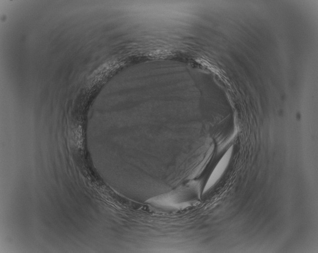 X0000067890689200605111851