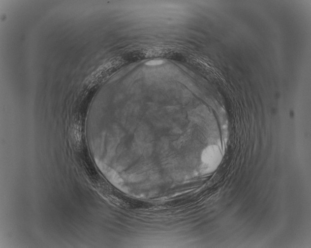 X0000067890691200605111851