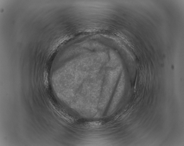 X0000067890692200605111851