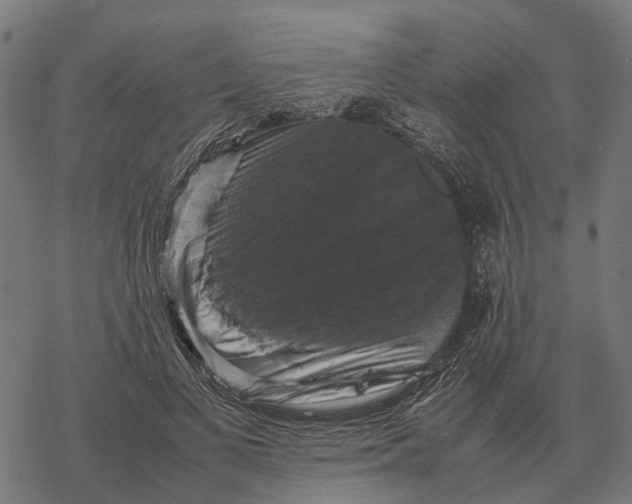 X0000067890693200605111851