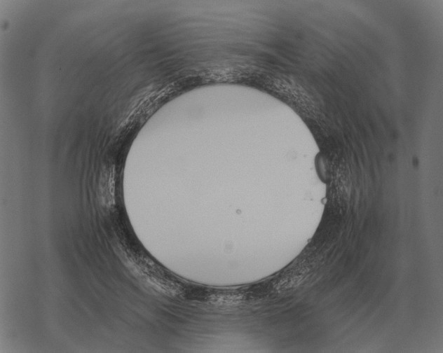 X0000067890694200605111851