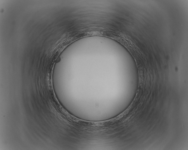 X0000067890696200605111851