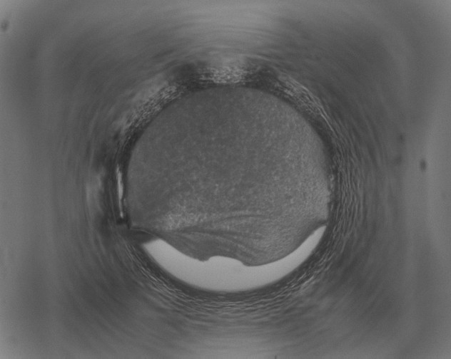 X0000067890697200605111851