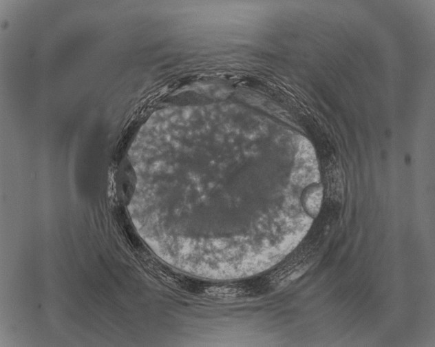 X0000067890699200605111851