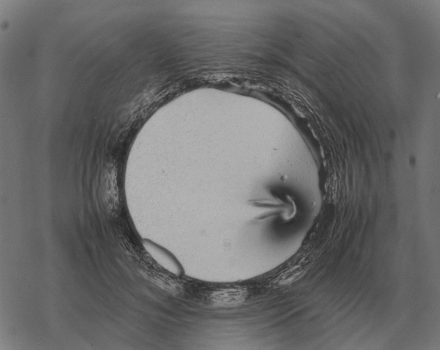 X0000067890700200605111851