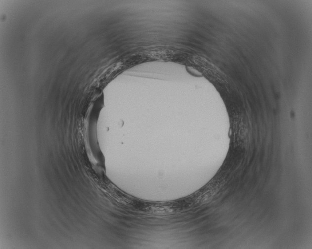 X0000067890702200605111851