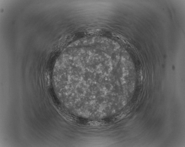 X0000067890703200605111851