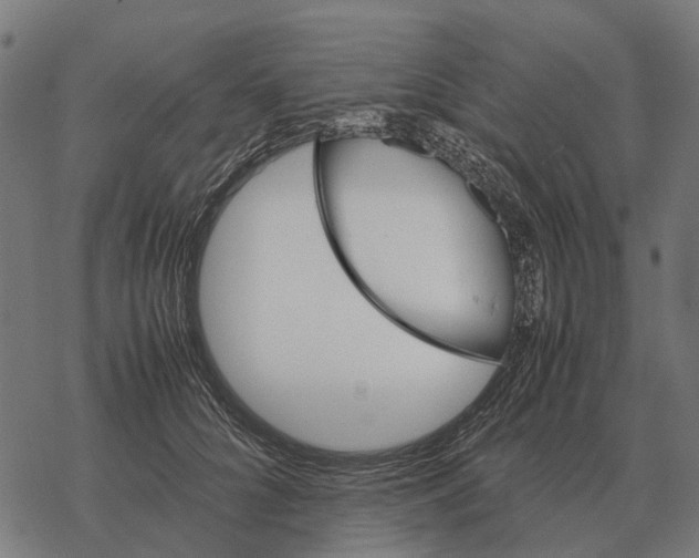 X0000067890704200605111851