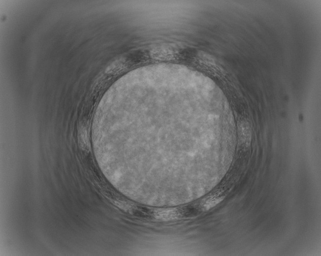 X0000067890705200605111851